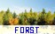 Forst