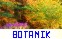 Botanik
